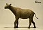 PARACERATHERIUM GRANGERI EOFAUNA RÉPLICA MAMÍFERO EXTINTO ESCALA 1:35 RINOCERONTE PRÉ-HISTÓRICO [PRÉ-VENDA] - Imagem 1