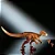 ORNITHOLESTES HAMMOND COLLECTION JURASSIC WORLD MATTEL ORNITOLESTE - Imagem 3