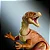 ORNITHOLESTES HAMMOND COLLECTION JURASSIC WORLD MATTEL ORNITOLESTE - Imagem 5