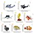 CONJUNTO DE 16 ANIMAIS MARINHOS TOYMANY FIGURAS DE ANIMAIS OCEANO REALISTAS - Imagem 4