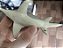 ICHTHYOSAURUS CARNEGIE SAFARI LTD RARO MINIATURA RÉPTIL MARINHO PRÉ-HISTÓRICO ICTIOSSAURO [USADO] - Imagem 8