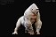 GORILA Z REBOR BRANCO ALBINO GORILA DA MONTANHA MACHO 1:11 MODELO REALISTA - Imagem 3