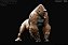 GORILA Z REBOR MARROM PRIMAL GORILA DA MONTANHA MACHO 1:11 MODELO REALISTA - Imagem 3