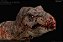 TYRANNOSAURUS REX ZUMBI REBOR "CANNIBAL CORPSE" VERSÃO PLANÍCIE TIRANOSSAURO - Imagem 3