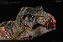 TYRANNOSAURUS REX ZUMBI REBOR "CANNIBAL CORPSE" VERSÃO SELVA TIRANOSSAURO VERDE - Imagem 3