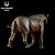PARACERATHERIUM HAOLONGGOOD MINIATURA RINOCERONTE EXTINTO MAMÍFERO PRÉ-HISTÓRICO PARACERATÉRIO - Imagem 2