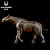 PARACERATHERIUM HAOLONGGOOD MINIATURA RINOCERONTE EXTINTO MAMÍFERO PRÉ-HISTÓRICO PARACERATÉRIO - Imagem 4