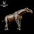 PARACERATHERIUM HAOLONGGOOD MINIATURA RINOCERONTE EXTINTO MAMÍFERO PRÉ-HISTÓRICO PARACERATÉRIO - Imagem 1