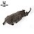 COELODONTA HAOLONGGOOD MINIATURA RINOCERONTE EXTINTO MAMÍFERO PRÉ-HISTÓRICO PARACERATÉRIO - Imagem 2