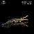SARCOSUCHUS IMPERATOR HAOLONGGOOD AMARELO CROCODILO PRÉ-HISTÓRICO GIGANTE SARCOSUCO - Imagem 1