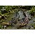 SARCOSUCHUS IMPERATOR HAOLONGGOOD AMARELO CROCODILO PRÉ-HISTÓRICO GIGANTE SARCOSUCO - Imagem 2