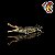 SARCOSUCHUS IMPERATOR HAOLONGGOOD 2026 AMARELO CROCODILO PRÉ-HISTÓRICO GIGANTE SARCOSUCO - Imagem 3