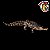 SARCOSUCHUS IMPERATOR HAOLONGGOOD 2026 MARROM CROCODILO PRÉ-HISTÓRICO GIGANTE SARCOSUCO - Imagem 5