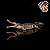 SARCOSUCHUS IMPERATOR HAOLONGGOOD 2026 MARROM CROCODILO PRÉ-HISTÓRICO GIGANTE SARCOSUCO - Imagem 3