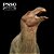 LANZHOUSAURUS PNSO "LANQI" FIGURA DE DINOSSAURO HERBÍVORO MINIATURA CIENTÍFICA - Imagem 4