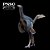 CAUDIPTERYX PNSO "JUNLANG" FIGURA DE DINOSSAURO EMPLUMADO REALISTA - Imagem 5