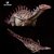 DACENTRURUS HAOLONGGOOD MARROM MINIATURA DINOSSAURO ESTEGOSSAURÍDEO ESPINHOSO - Imagem 8