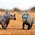 STYRACOSAURUS HAOLONGGOOD MARROM MINIATURA DINOSSAURO CHIFRUDO ESTIRACOSSAURO - Imagem 7