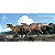 SHANTUNGOSAURUS HAOLONGGOOD MARROM MINIATURA DINOSSAURO ORNITÓPODE BICO DE PATO SHANTUNGOSSAURO - Imagem 6