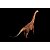 BRACHIOSAURUS HAOLONGGOOD MARROM DINOSSAURO HERBÍVORO MODELO CIENTÍFICO BRAQUIOSSAURO - Imagem 4