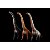 BRACHIOSAURUS HAOLONGGOOD MARROM DINOSSAURO HERBÍVORO MODELO CIENTÍFICO BRAQUIOSSAURO - Imagem 7