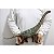 BRACHIOSAURUS HAOLONGGOOD VERDE DINOSSAURO HERBÍVORO MODELO CIENTÍFICO BRAQUIOSSAURO - Imagem 3