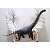 BRACHIOSAURUS HAOLONGGOOD CINZA DINOSSAURO HERBÍVORO MODELO CIENTÍFICO BRAQUIOSSAURO - Imagem 4