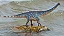 DIPLODOCUS HAOLONGGOOD AZUL DINOSSAURO MINIATURA COLECIONÁVEL DE DIPLODOCO - Imagem 9