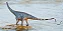 DIPLODOCUS HAOLONGGOOD AZUL DINOSSAURO MINIATURA COLECIONÁVEL DE DIPLODOCO - Imagem 10