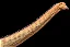 DIPLODOCUS HAOLONGGOOD MARROM DINOSSAURO MINIATURA COLECIONÁVEL DE DIPLODOCO - Imagem 9