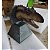 BUSTO DE ALLOSAURUS NANMU 2020 ESTATUETA EM RESINA ALOSSAURO - Imagem 6