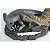 BARYONYX NANMU 2021 CASAL "SANTIAGO + CALYPSO" COM BASE EXCLUSIVA BARIONIX - Imagem 6