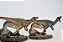 BARYONYX NANMU 2021 CASAL "SANTIAGO + CALYPSO" COM BASE EXCLUSIVA BARIONIX - Imagem 9