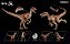 VELOCIRAPTOR NANMU 2024 "TIGER BLADE" SMART SERIES MINIATURA DINOSSAURO CARNÍVORO RAPTOR - Imagem 1