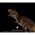 TYRANNOSAURUS REX NANMU 2026 MARROM SMART SERIES "SOVEREIGN OF THE OATH" FIGURA ARTICULADA TIRANOSSAURO FÊMEA - Imagem 3