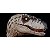 VELOCIRAPTOR NANMU 2026 "WHITE QUEEN 2.5+" SMART SERIES FIGURE DINOSSAURO CARNÍVORO RAPTOR FÊMEA [PRÉ-VENDA] - Imagem 2
