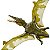 RHAMPHORHYNCHUS MATTEL VERDE DINO RIVALS JURASSIC WORLD RANFORRINCO - Imagem 6