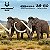 MAMMUTHUS PRIMIGENIUS HAOLONGGOOD MARROM MINIATURA MAMUTE LANUDO MAMÍFERO PRÉ-HISTÓRICO ELEFANTE EXTINTO - Imagem 1