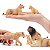 CONJUNTO DE 6 LEÕES TOYMANY FIGURAS DE FELINOS REALISTAS MINIATURAS COLECIONÁVEIS - Imagem 2