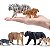 CONJUNTO DE FELINOS SELVAGENS TOYMANY 12 FIGURAS REALISTAS MINIATURAS COLECIONÁVEIS - Imagem 4