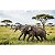 STEGOTETRABELODON HAOLONGGOOD MARROM MINIATURA ELEFANTE EXTINTO MAMÍFERO PRÉ-HISTÓRICO - Imagem 6