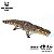 PURUSSAURUS BRASILIENSIS HAOLONGGOOD 2026 MARROM "LU MING YUE" CROCODILO PRÉ-HISTÓRICO GIGANTE PURUSSAURO - Imagem 1