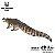 PURUSSAURUS BRASILIENSIS HAOLONGGOOD 2026 MARROM "LU MING YUE" CROCODILO PRÉ-HISTÓRICO GIGANTE PURUSSAURO - Imagem 2