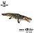 PURUSSAURUS BRASILIENSIS HAOLONGGOOD 2026 VERDE "LU MING XING" CROCODILO PRÉ-HISTÓRICO GIGANTE PURUSSAURO - Imagem 1