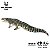 PURUSSAURUS BRASILIENSIS HAOLONGGOOD 2026 VERDE "LU MING XING" CROCODILO PRÉ-HISTÓRICO GIGANTE PURUSSAURO - Imagem 2