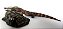 CHAMPSOSAURUS ADULTO E JUVENIL COM PEIXE DIORAMA DE RÉPTIL PRÉ-HISTÓRICO DA ERA DOS DINOSSAUROS - Imagem 5