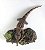 CHAMPSOSAURUS ADULTO E JUVENIL COM PEIXE DIORAMA DE RÉPTIL PRÉ-HISTÓRICO DA ERA DOS DINOSSAUROS - Imagem 2