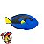 CIRURGIÃO-PATELA SAFARI LTD INCREDIBLE CREATURES MINIATURA DE PEIXE DORY BLUE TANG - Imagem 2