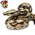 JIBOIA BOA CONSTRICTOR SAFARI LTD INCREDIBLE CREATURES MINIATURA DE COBRA SERPENTE DE BRINQUEDO - Imagem 4