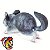 CHINCHILA SAFARI LTD INCREDIBLE CREATURES MINIATURAS DE ANIMAIS SELVAGENS - Imagem 3